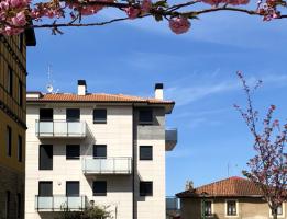 ALGORTA – Landene, 2 (Junto a la Playa de Arrigunaga)